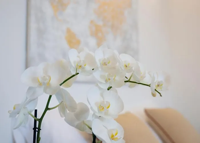 Dimora La Fenice Ambra