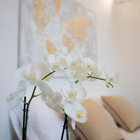 Dimora La Fenice Ambra